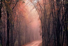 韩旭和李梦还在康复中 他们需要听取医生关于何时返回的建议