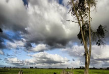 三位主力抵达北京 泰山对阵国安的阵容更加完整 增援的消息依然没有得到答复