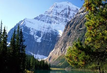 男篮26人集训名单：广东4人 张镇麟、曾凡博入选