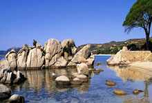 中国男篮热身计划：对阵澳大利亚和NBA夏季联赛